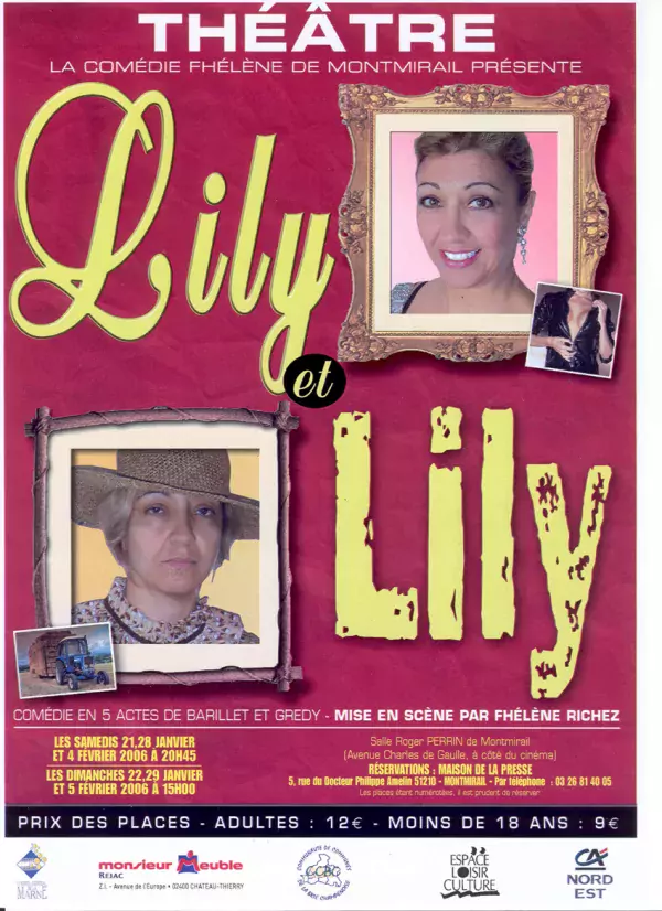 Lily et Lily - affiche